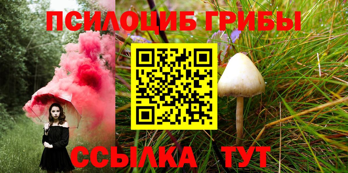 сколько стоит  Галлюциногенные грибы Psilocybine cubensis  Вход с VPN  Галлюциногенные грибы мицелий  Мариинск 